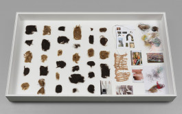 AlexandraBircken_SomaSemaSoma_CulturgestLisbon_© António Jorge Silva